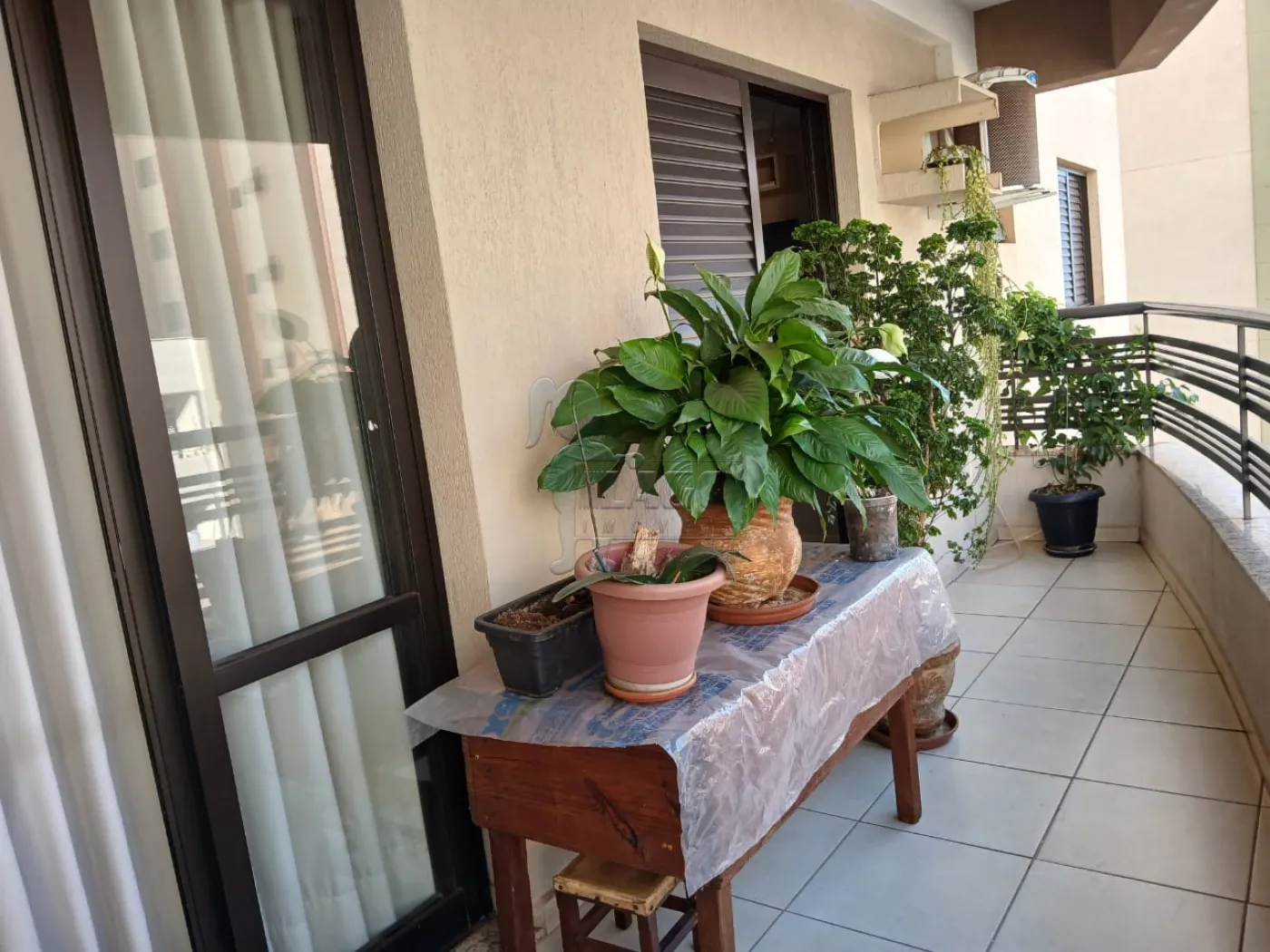 Alugar Apartamento / Padrão em Ribeirão Preto R$ 1.700,00 - Foto 5