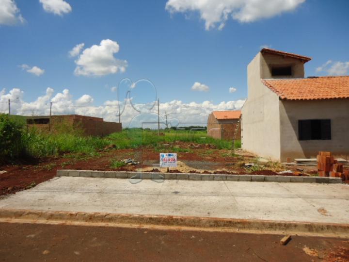 Alugar Terreno / Padrão em Ribeirão Preto R$ 500,00 - Foto 1