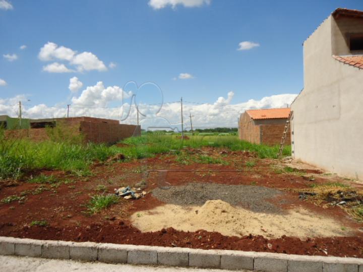 Alugar Terreno / Padrão em Ribeirão Preto R$ 500,00 - Foto 2