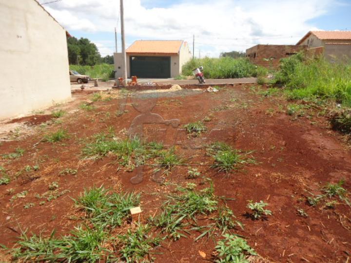 Alugar Terreno / Padrão em Ribeirão Preto R$ 500,00 - Foto 3