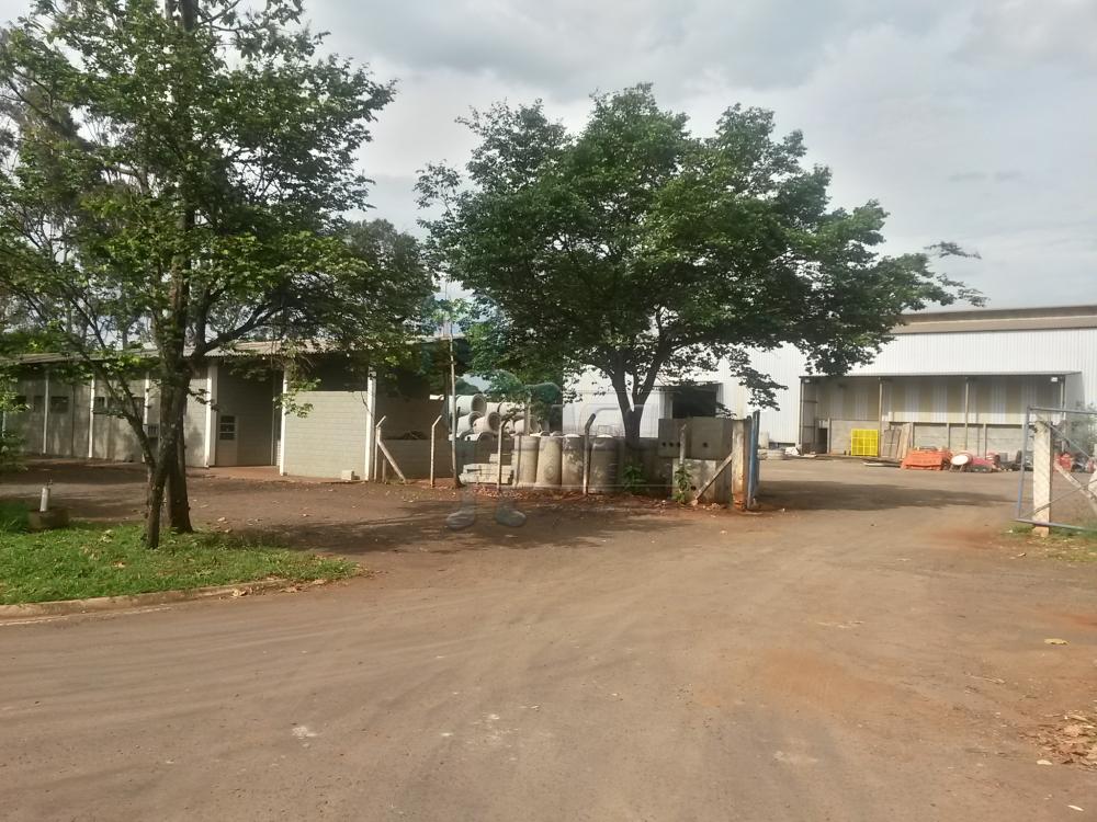 Alugar Terreno / Área em Ribeirão Preto R$ 15.000,00 - Foto 22