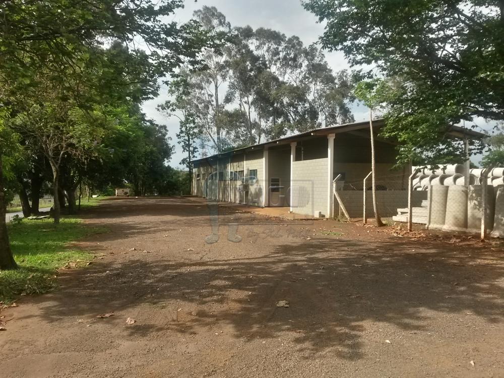 Alugar Terreno / Área em Ribeirão Preto R$ 15.000,00 - Foto 18