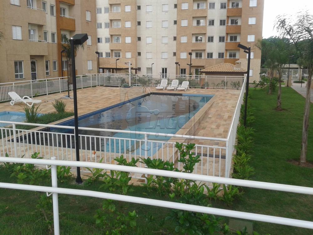 Alugar Apartamentos / Padrão em Ribeirão Preto R$ 800,00 - Foto 16