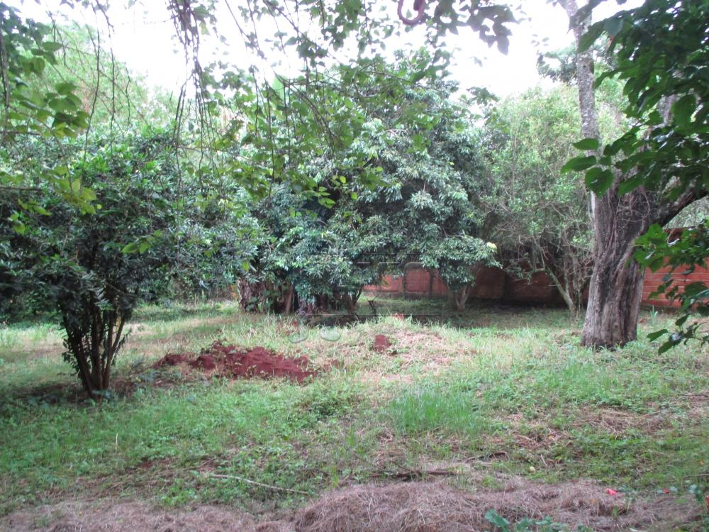 Comprar Casa / Padrão em Ribeirão Preto - Foto 10