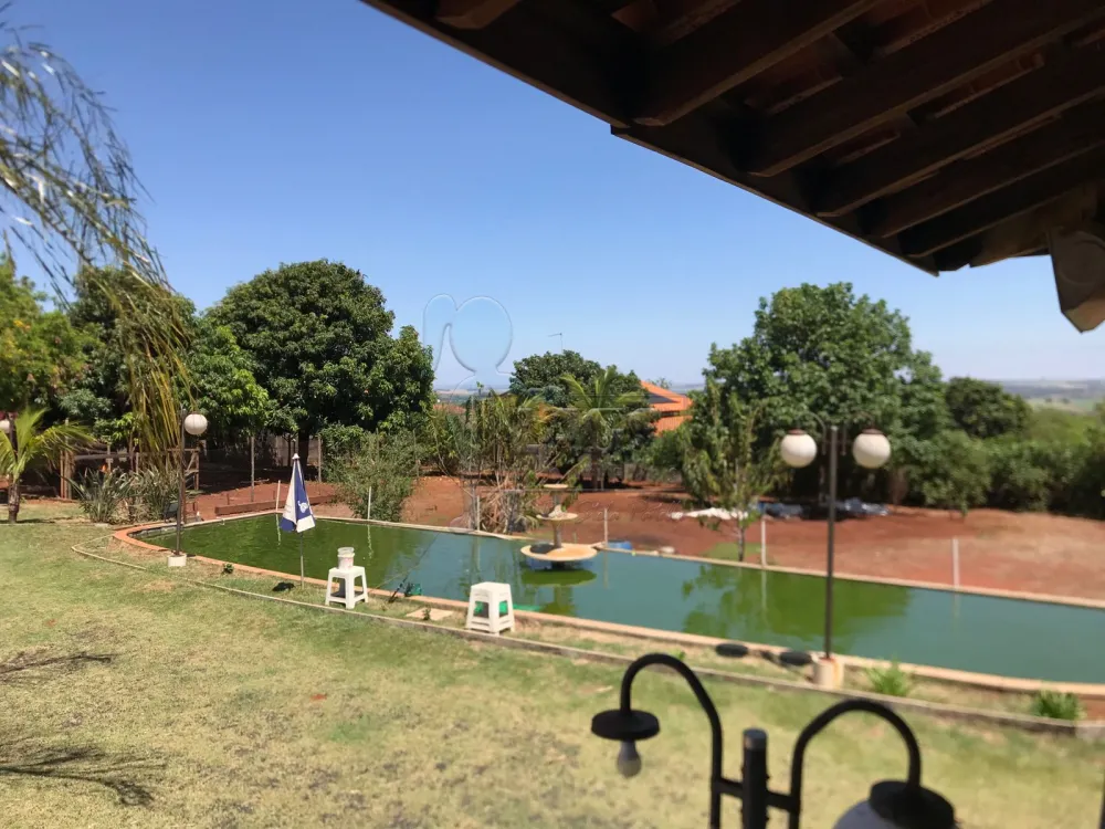 Comprar Casa / Chácara - Rancho em Brodowski R$ 901.000,00 - Foto 23