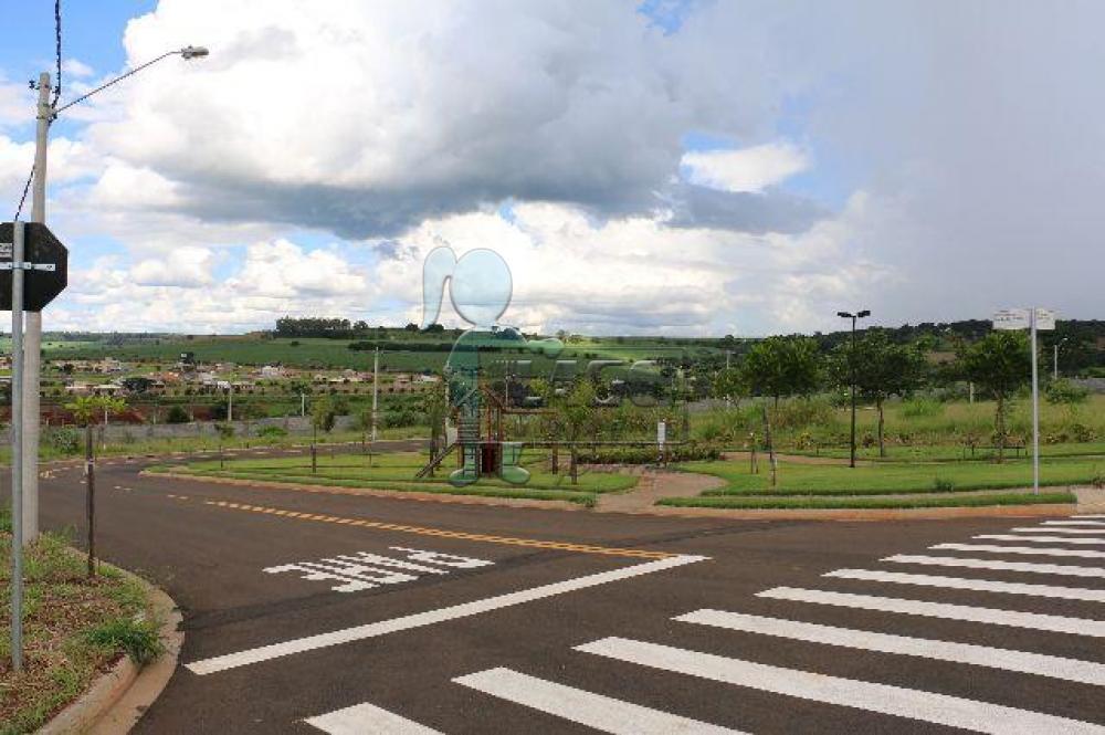 Comprar Terreno / Padrão em Bonfim Paulista - Foto 1