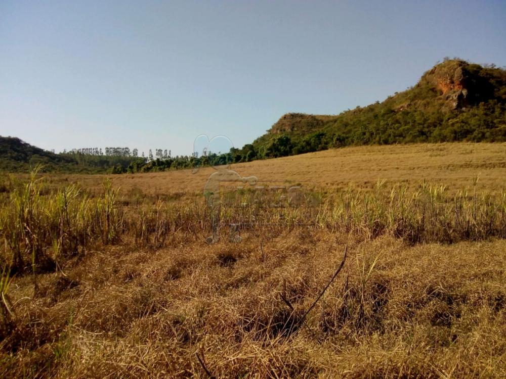 Comprar Terreno / Área em São Sebastião do Paraíso R$ 1.200.000,00 - Foto 2