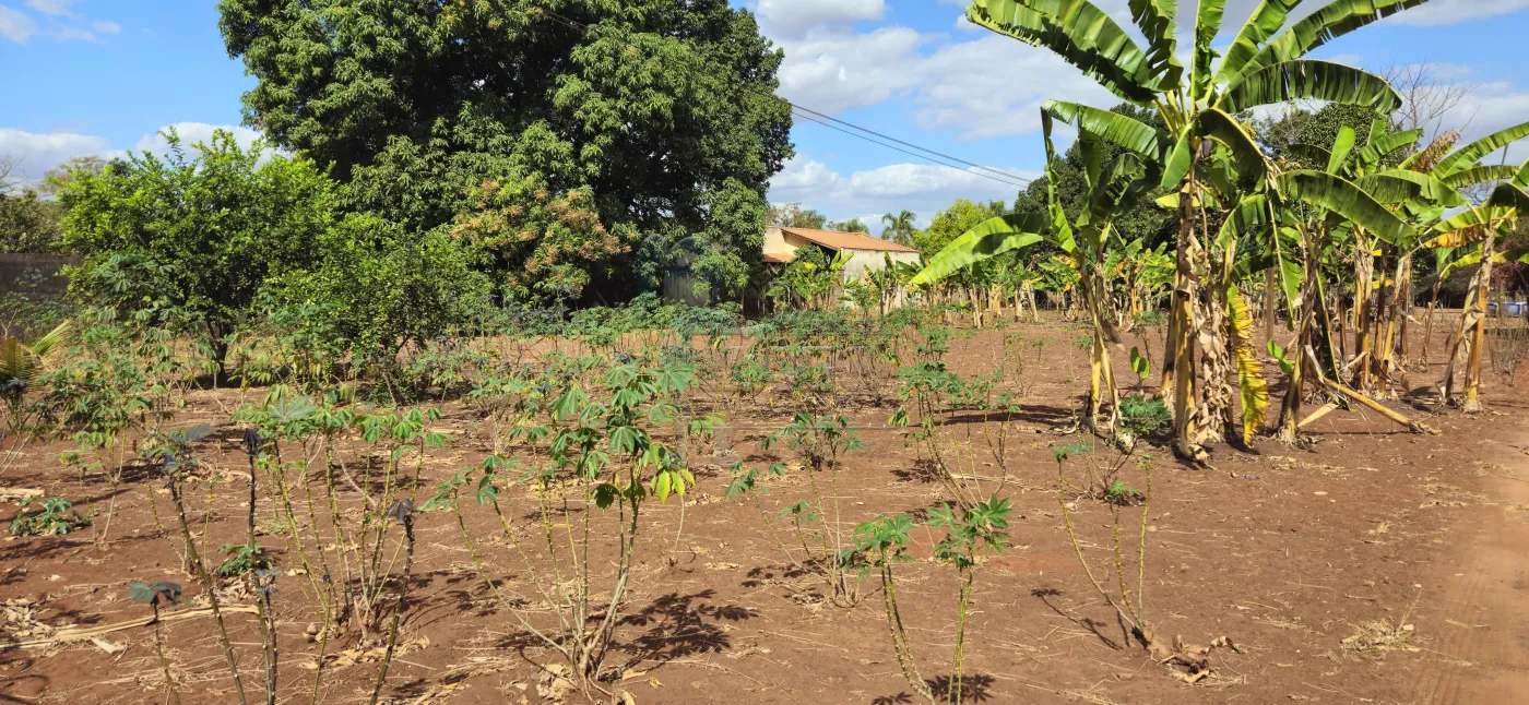 Comprar Terreno / Padrão em Ribeirão Preto R$ 1.590.000,00 - Foto 2