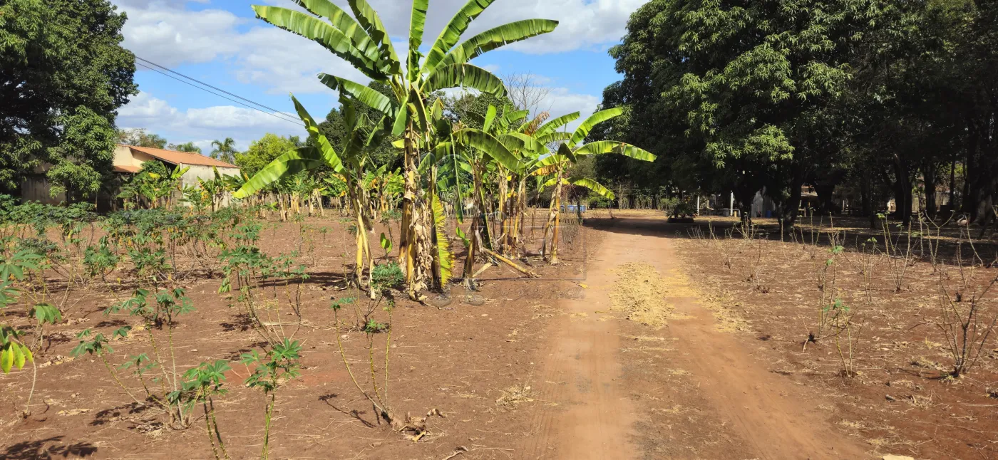 Comprar Terreno / Padrão em Ribeirão Preto R$ 1.590.000,00 - Foto 3