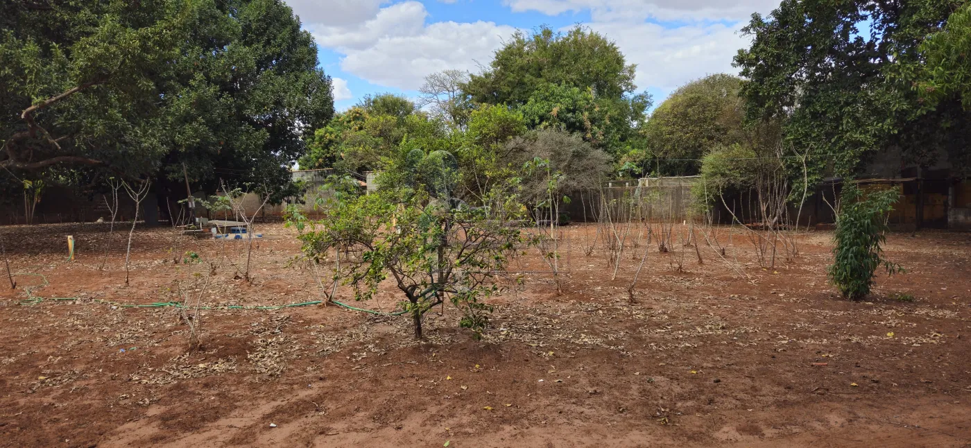 Comprar Terreno / Padrão em Ribeirão Preto R$ 1.590.000,00 - Foto 8