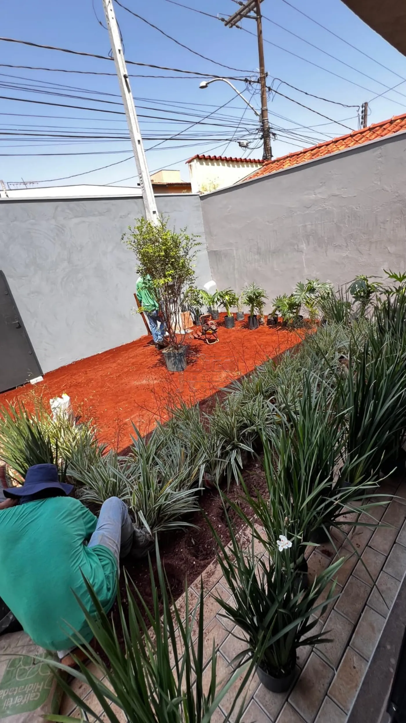 Alugar Casa / Padrão em Ribeirão Preto R$ 5.600,00 - Foto 6