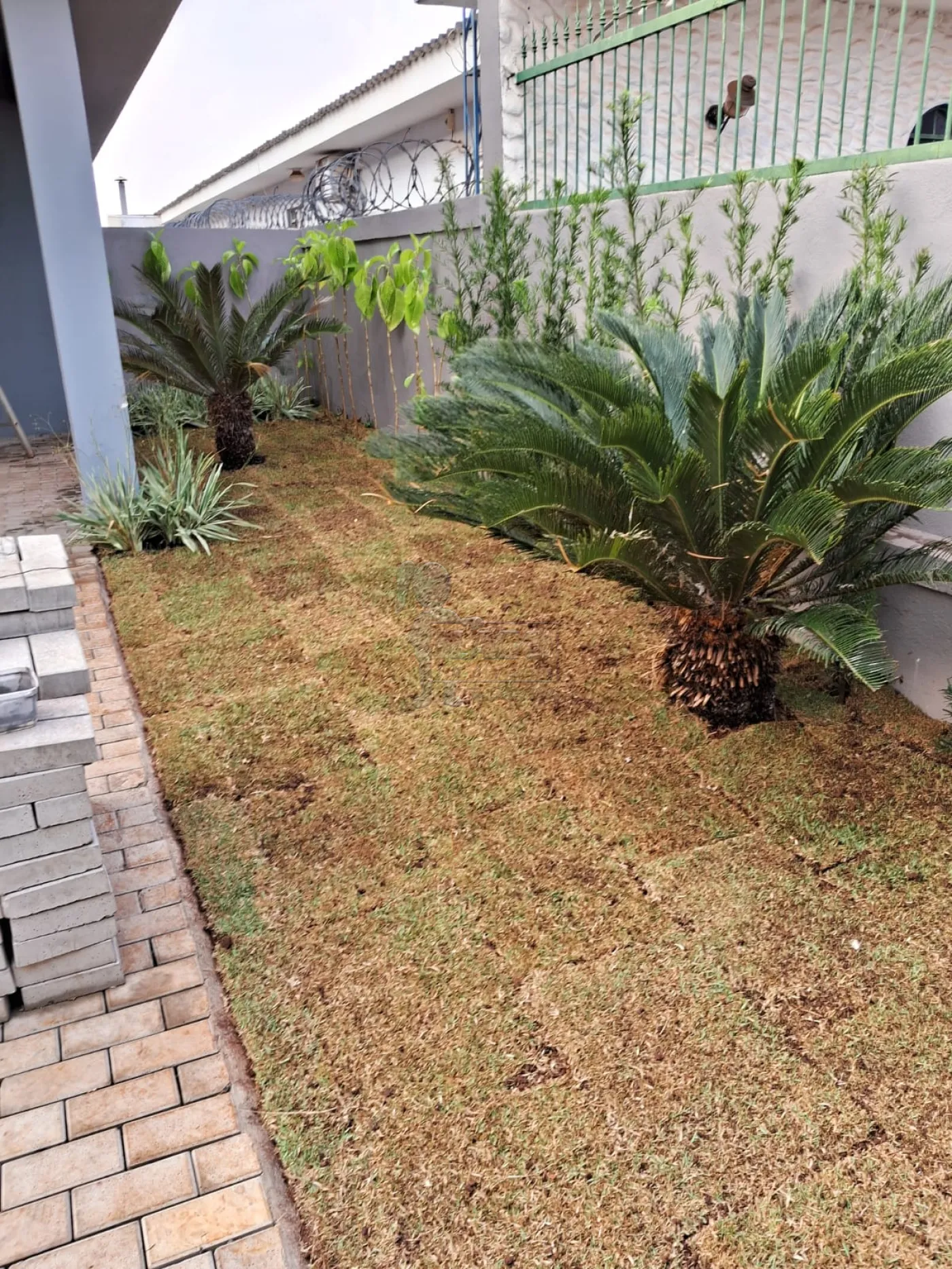 Alugar Casa / Padrão em Ribeirão Preto R$ 5.600,00 - Foto 43