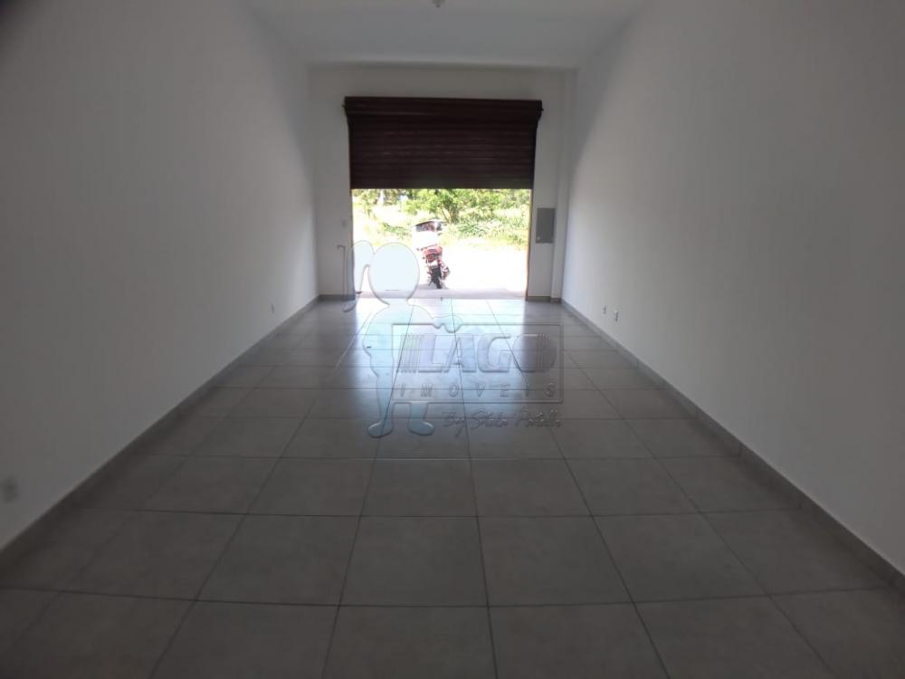 Alugar Comercial / Salão/Galpão/Armazém em Sertãozinho R$ 600,00 - Foto 5