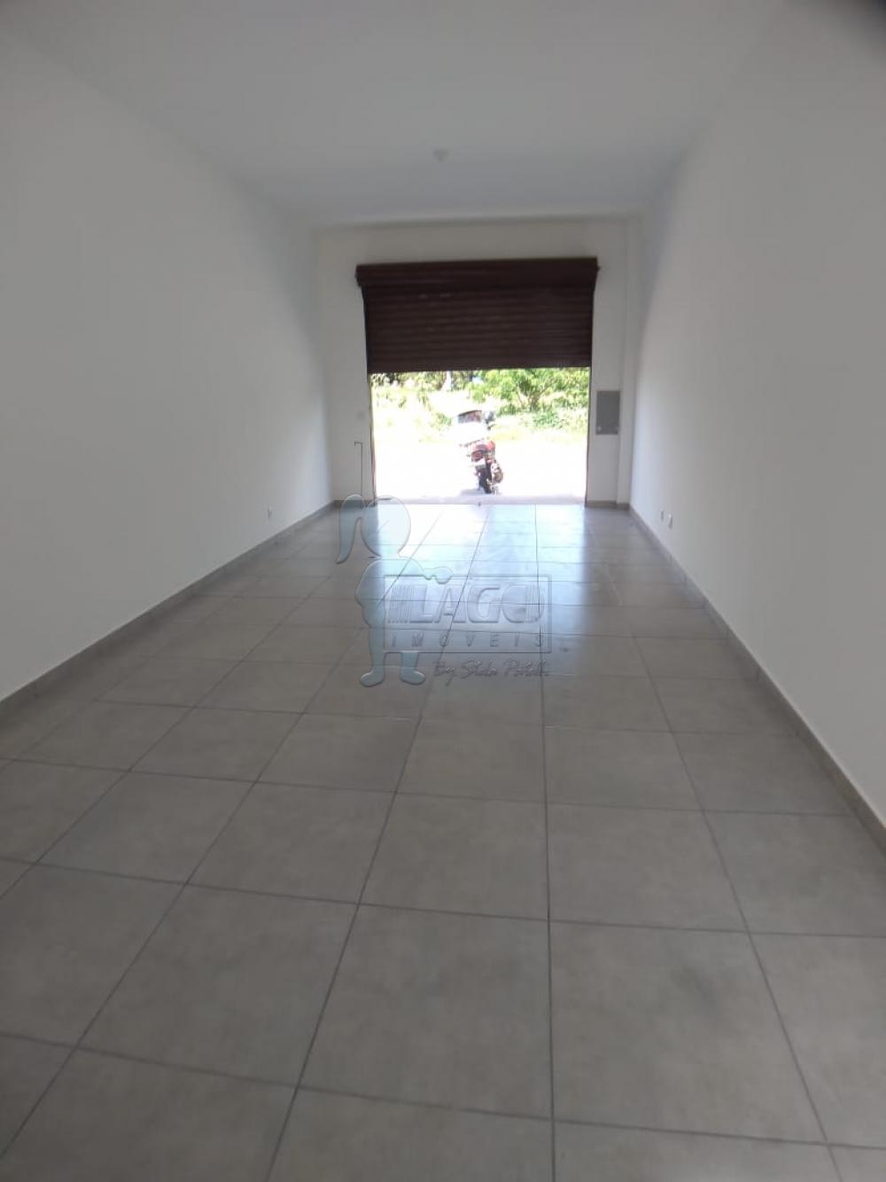 Alugar Comercial padrão / Galpão - Armazém em Sertãozinho R$ 600,00 - Foto 2