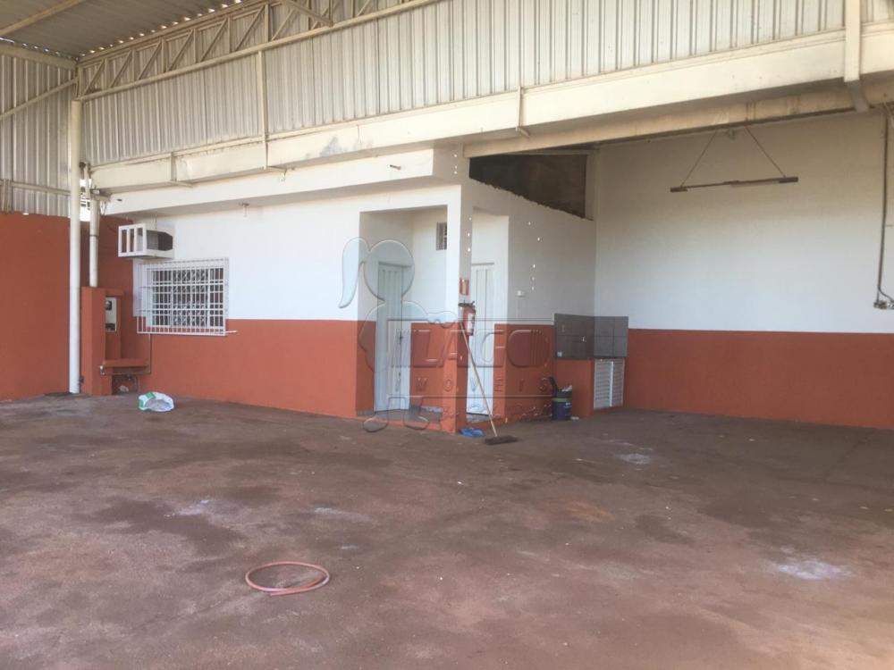 Alugar Comercial padrão / Casa comercial em Ribeirão Preto R$ 4.000,00 - Foto 8