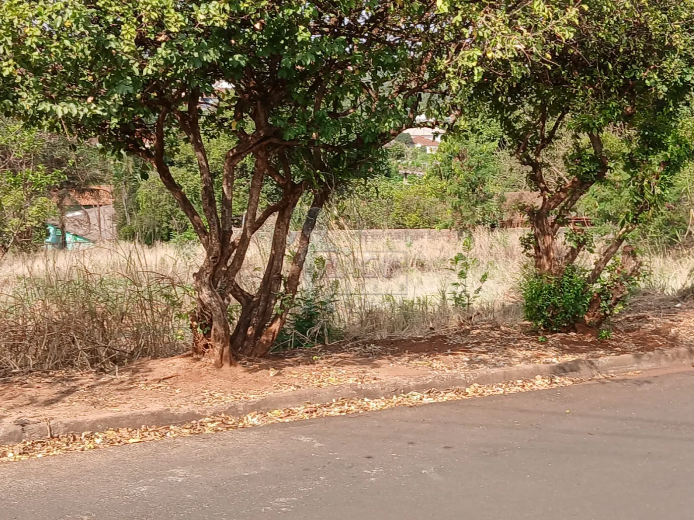 Comprar Terreno / Padrão em Bonfim Paulista R$ 11.500.000,00 - Foto 3