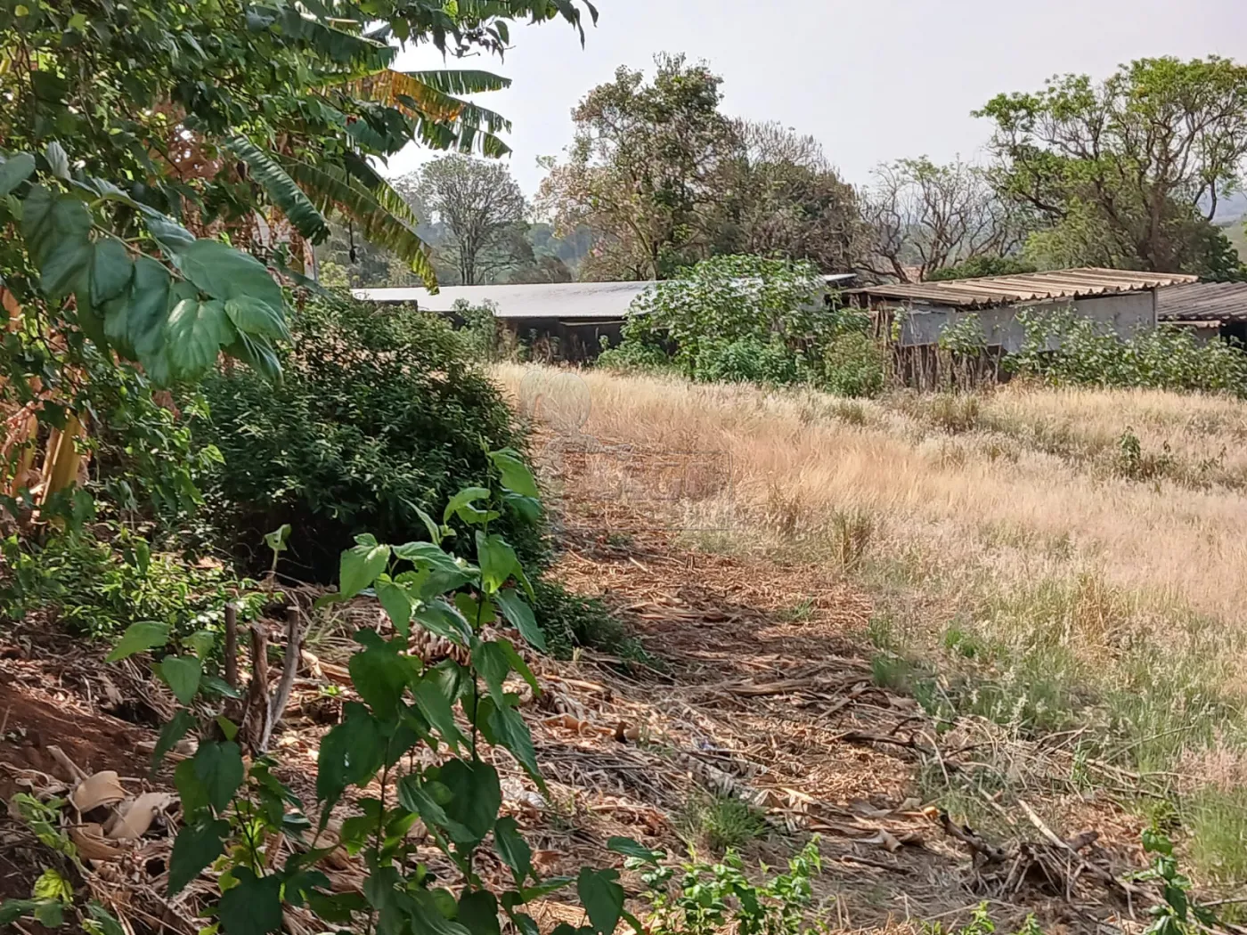 Comprar Terreno / Padrão em Bonfim Paulista R$ 11.500.000,00 - Foto 5