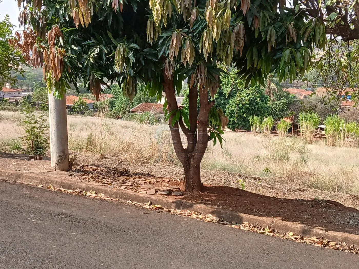 Comprar Terreno / Padrão em Bonfim Paulista R$ 11.500.000,00 - Foto 6