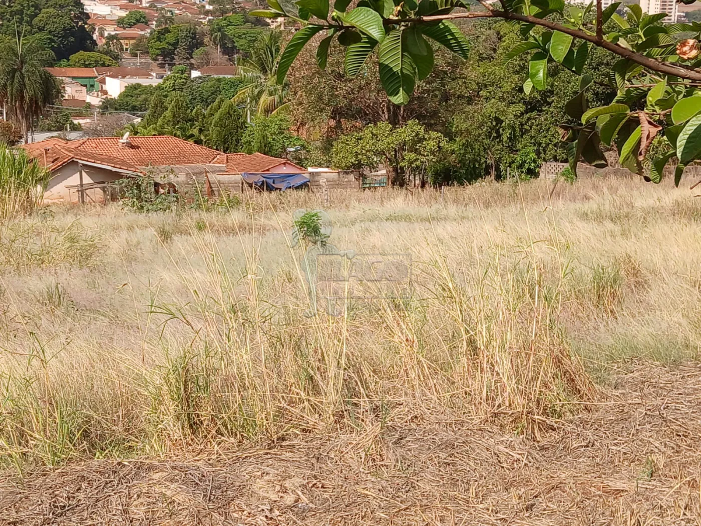 Comprar Terreno / Padrão em Bonfim Paulista R$ 11.500.000,00 - Foto 8