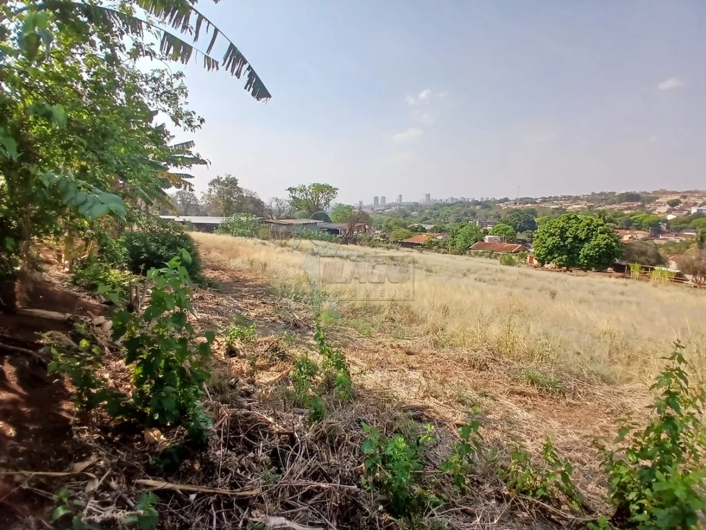 Comprar Terreno / Padrão em Bonfim Paulista R$ 11.500.000,00 - Foto 12