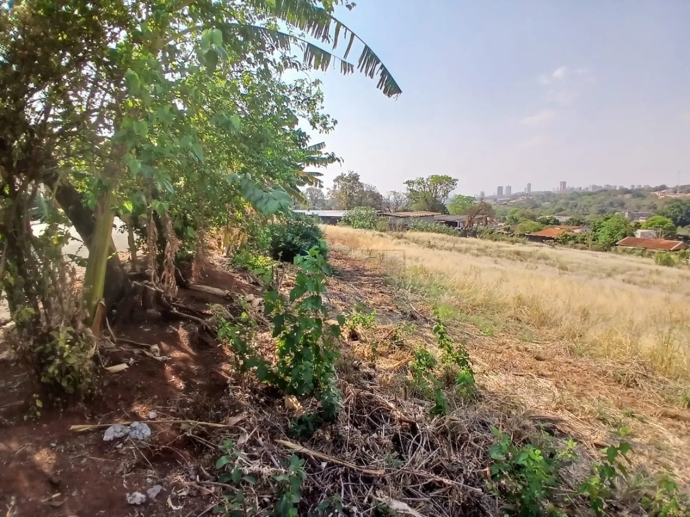 Comprar Terreno / Padrão em Bonfim Paulista R$ 11.500.000,00 - Foto 16