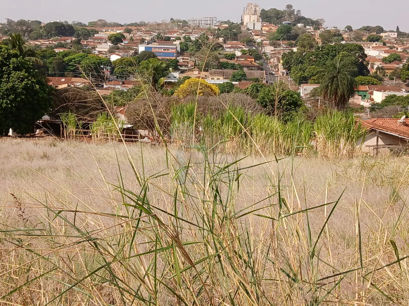 Comprar Terreno / Padrão em Bonfim Paulista R$ 11.500.000,00 - Foto 19