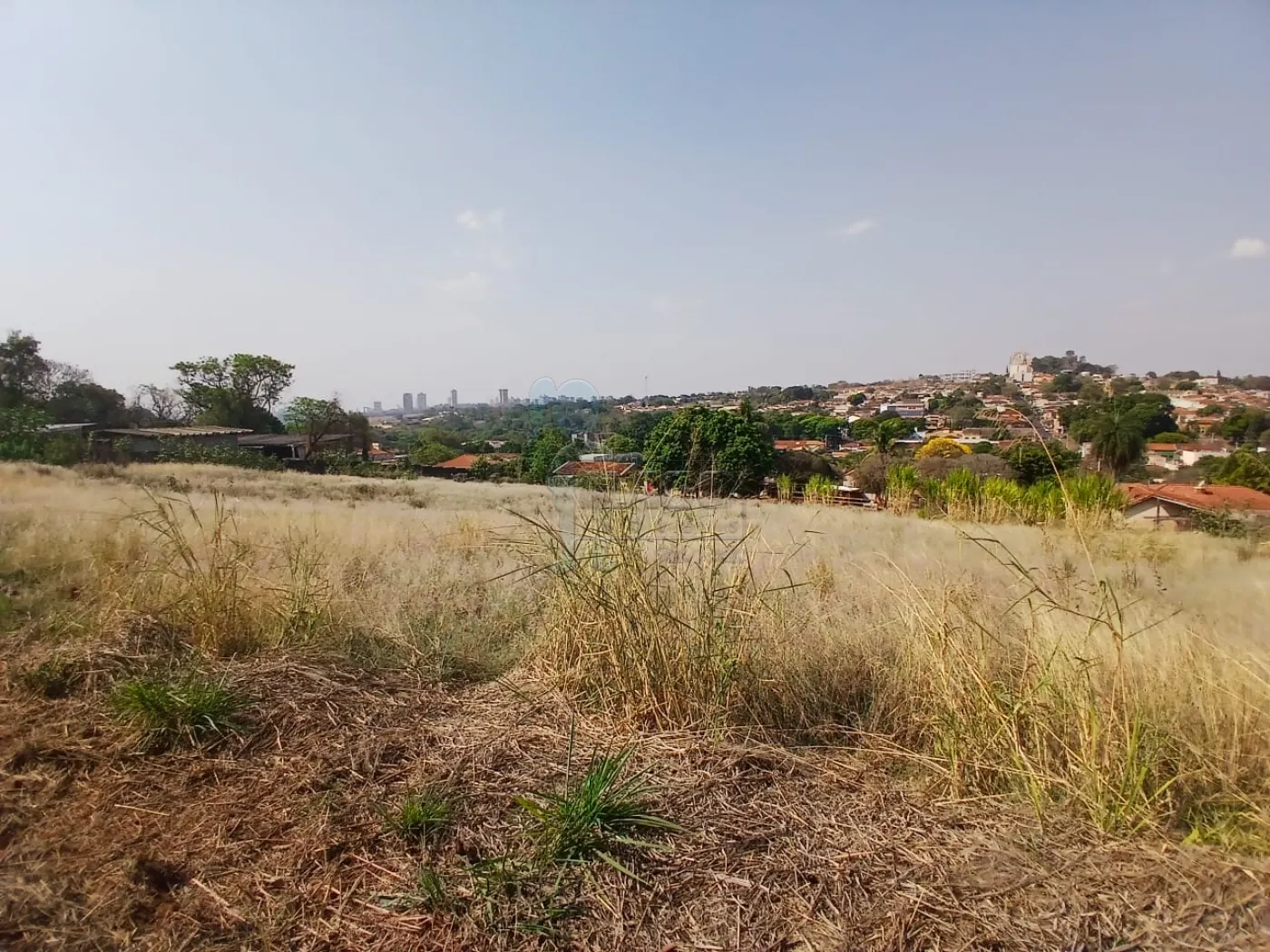 Comprar Terreno / Padrão em Bonfim Paulista R$ 11.500.000,00 - Foto 21