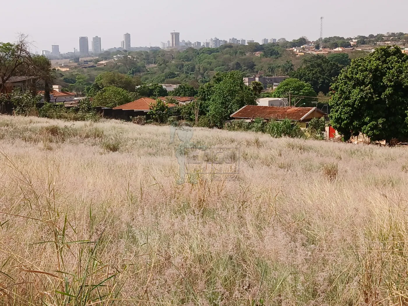 Comprar Terreno / Padrão em Bonfim Paulista R$ 11.500.000,00 - Foto 22