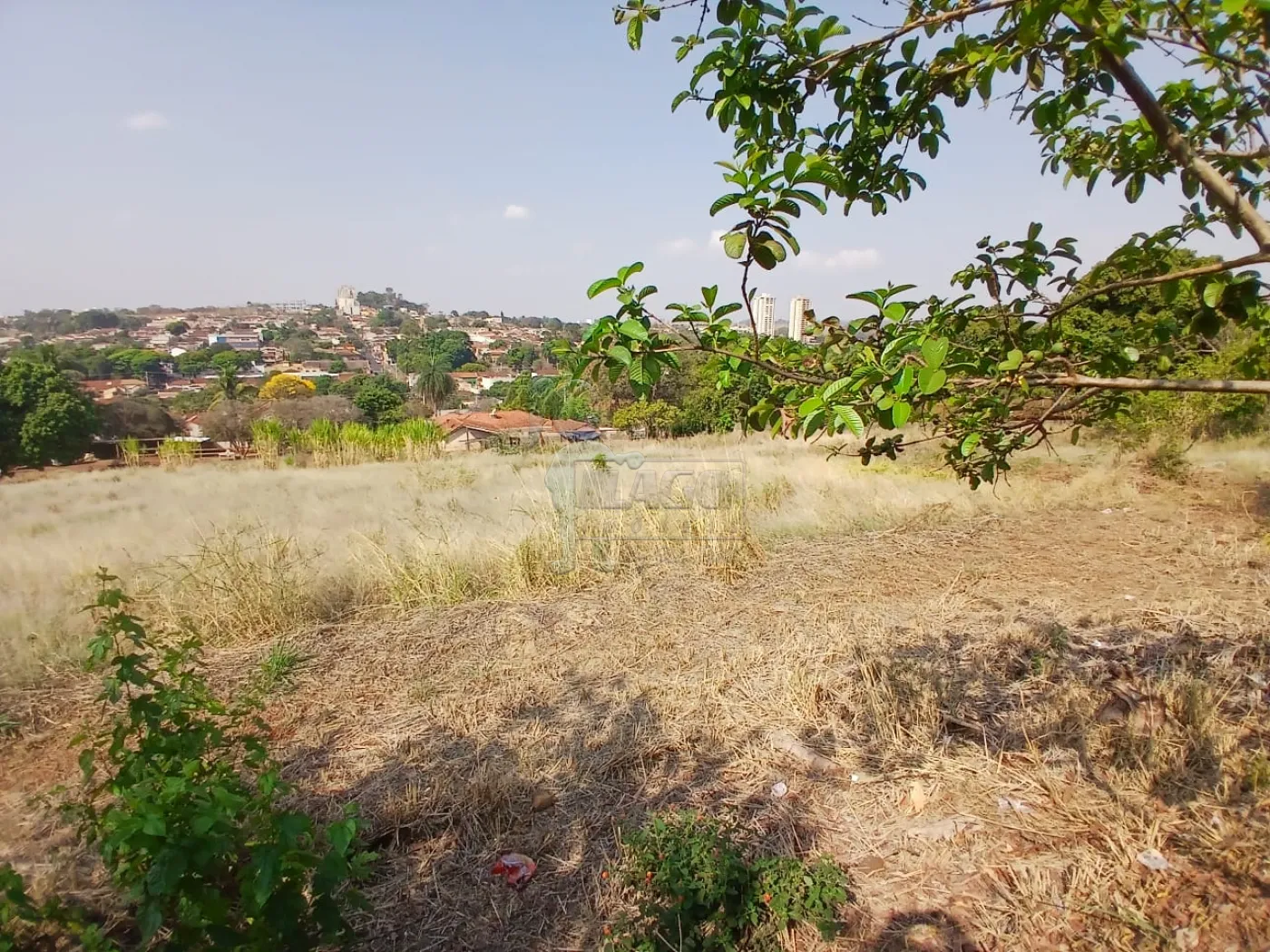 Comprar Terreno / Padrão em Bonfim Paulista R$ 11.500.000,00 - Foto 23