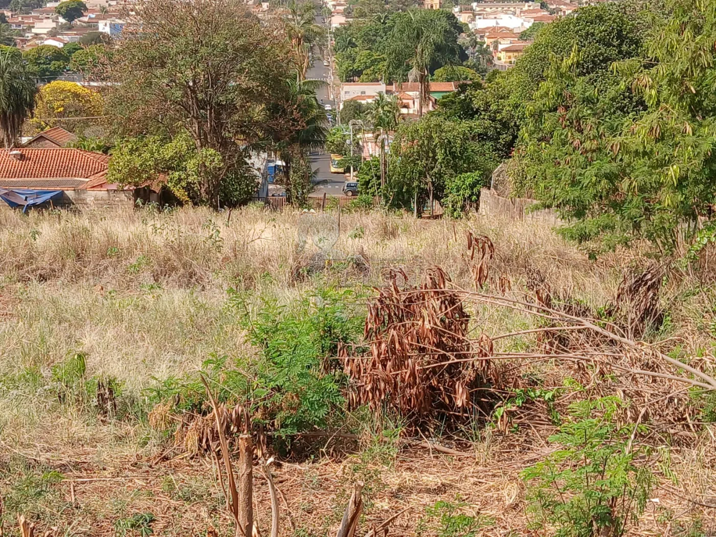 Comprar Terreno / Padrão em Bonfim Paulista R$ 11.500.000,00 - Foto 25