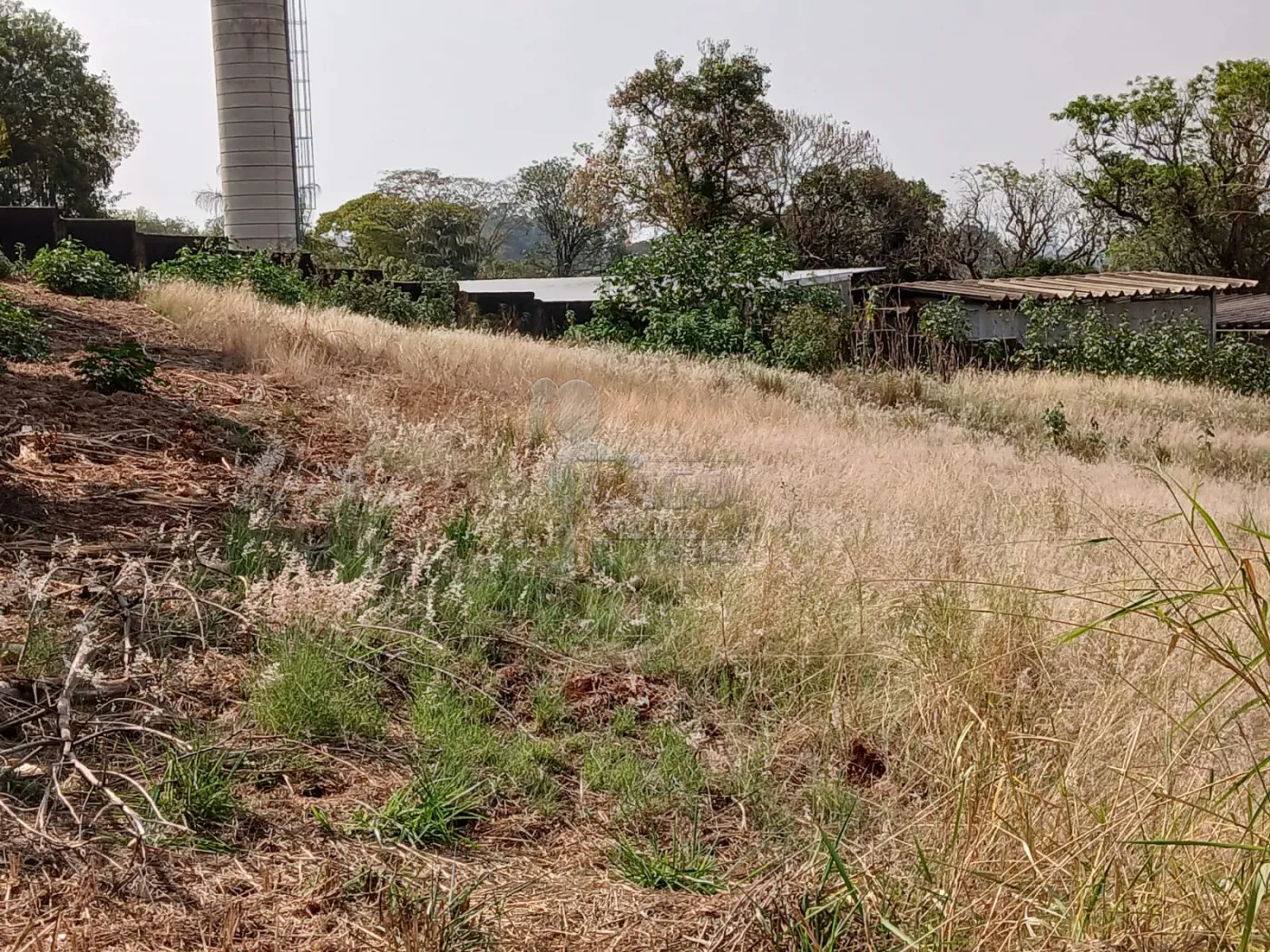 Comprar Terreno / Padrão em Bonfim Paulista R$ 11.500.000,00 - Foto 27