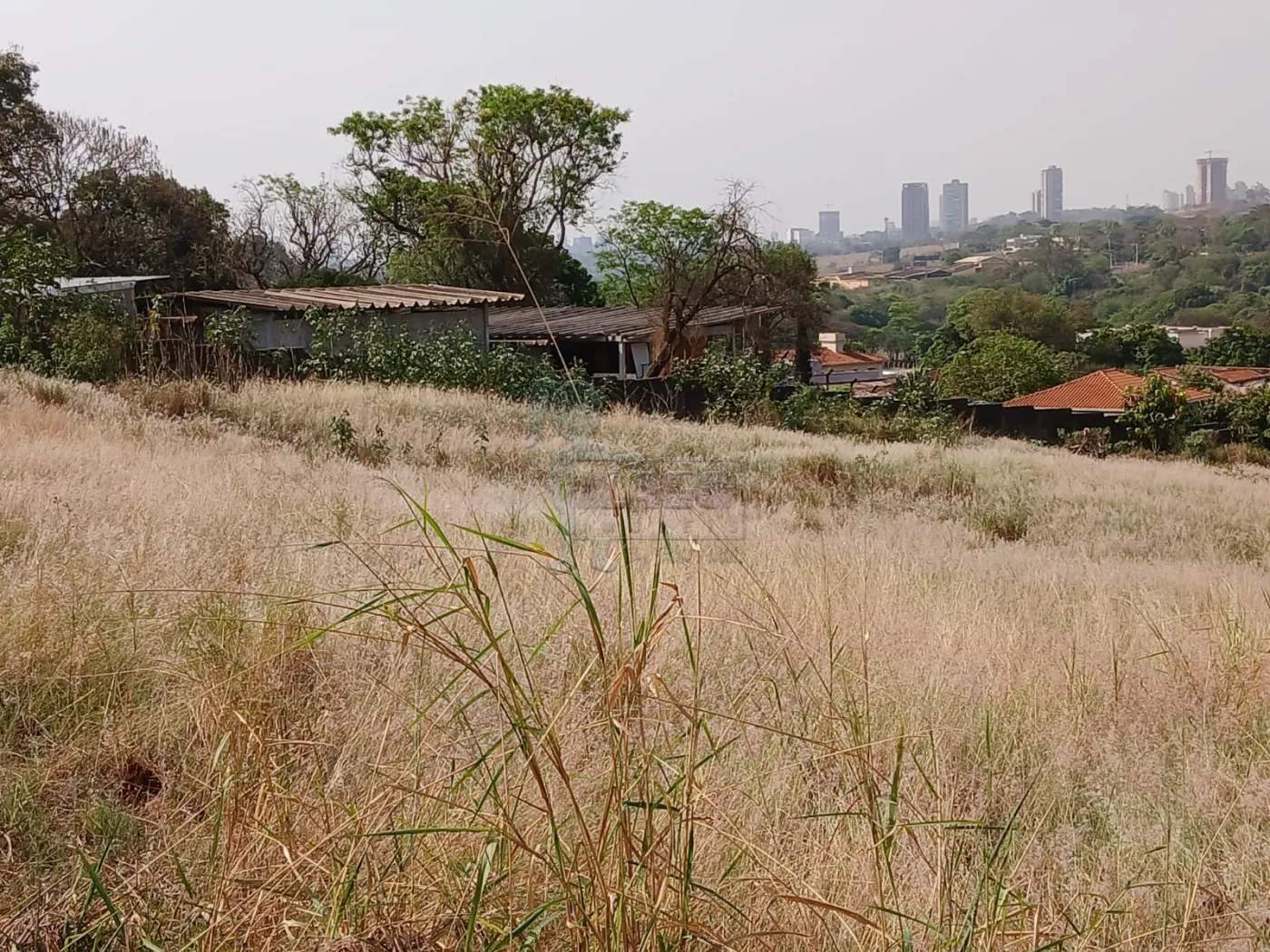 Comprar Terreno / Padrão em Bonfim Paulista R$ 11.500.000,00 - Foto 28