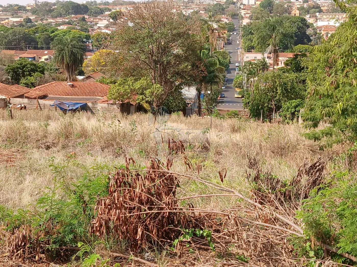 Comprar Terreno / Padrão em Bonfim Paulista R$ 11.500.000,00 - Foto 32