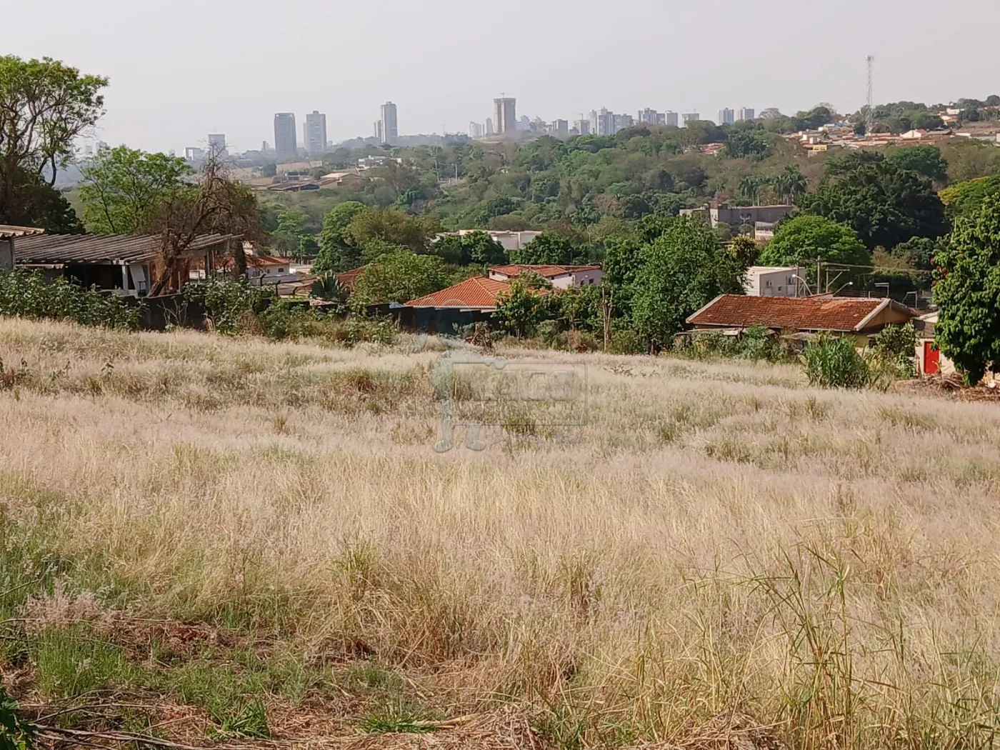 Comprar Terreno / Padrão em Bonfim Paulista R$ 11.500.000,00 - Foto 33