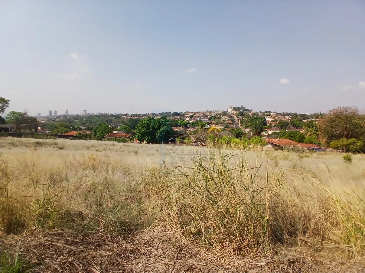 Comprar Terreno / Padrão em Bonfim Paulista R$ 11.500.000,00 - Foto 35