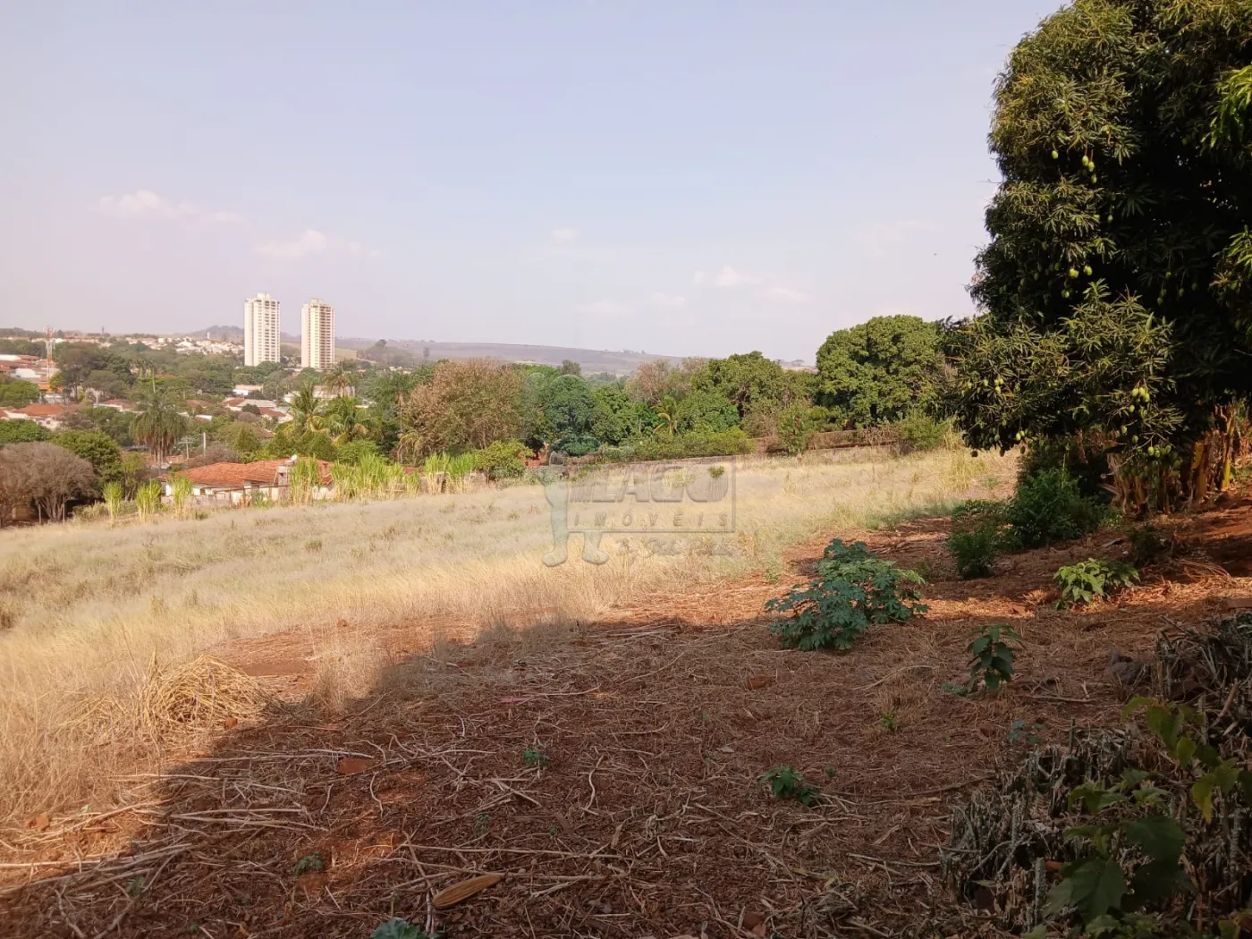 Comprar Terreno / Padrão em Bonfim Paulista R$ 11.500.000,00 - Foto 37