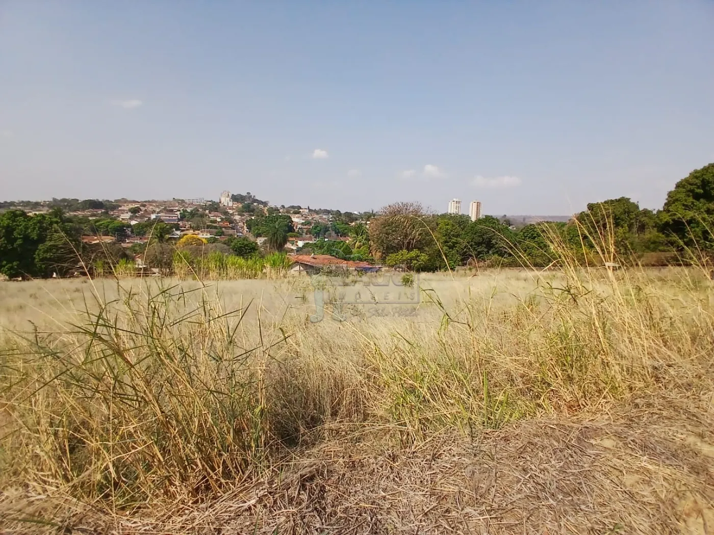 Comprar Terreno / Padrão em Bonfim Paulista R$ 11.500.000,00 - Foto 38