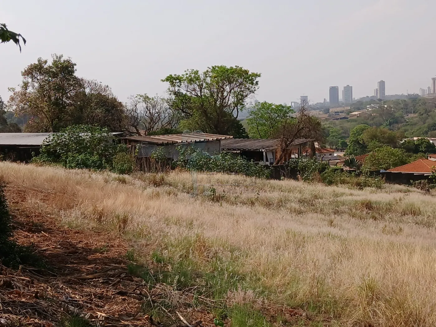 Comprar Terreno / Padrão em Bonfim Paulista R$ 11.500.000,00 - Foto 39