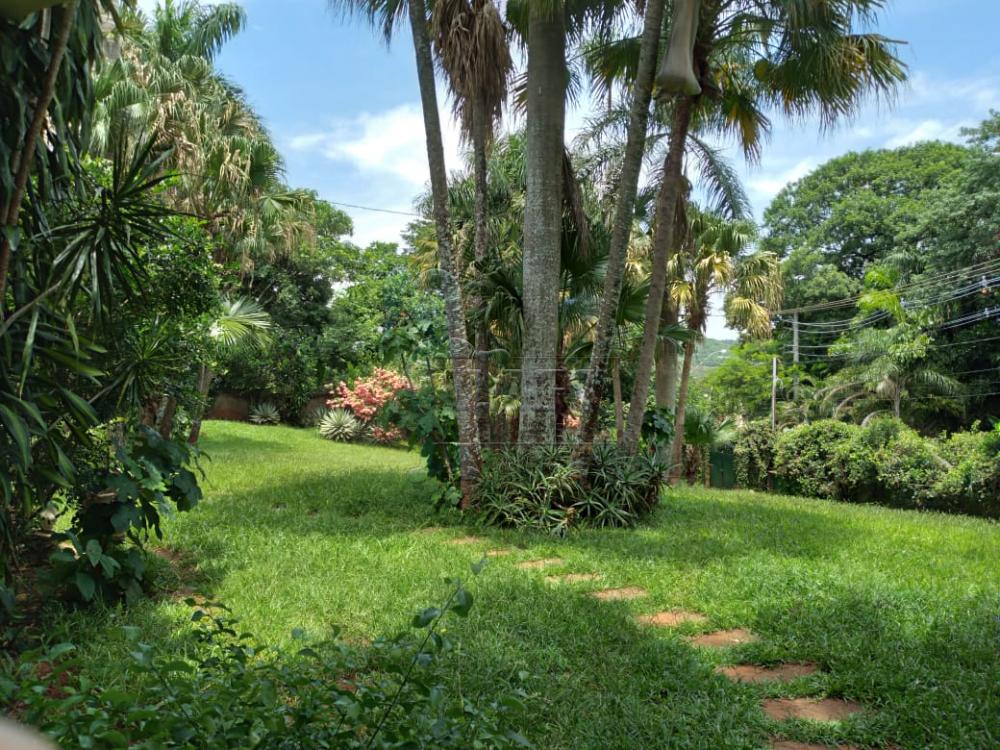 Comprar Rural / Fazenda em São Simão R$ 1.500.000,00 - Foto 26