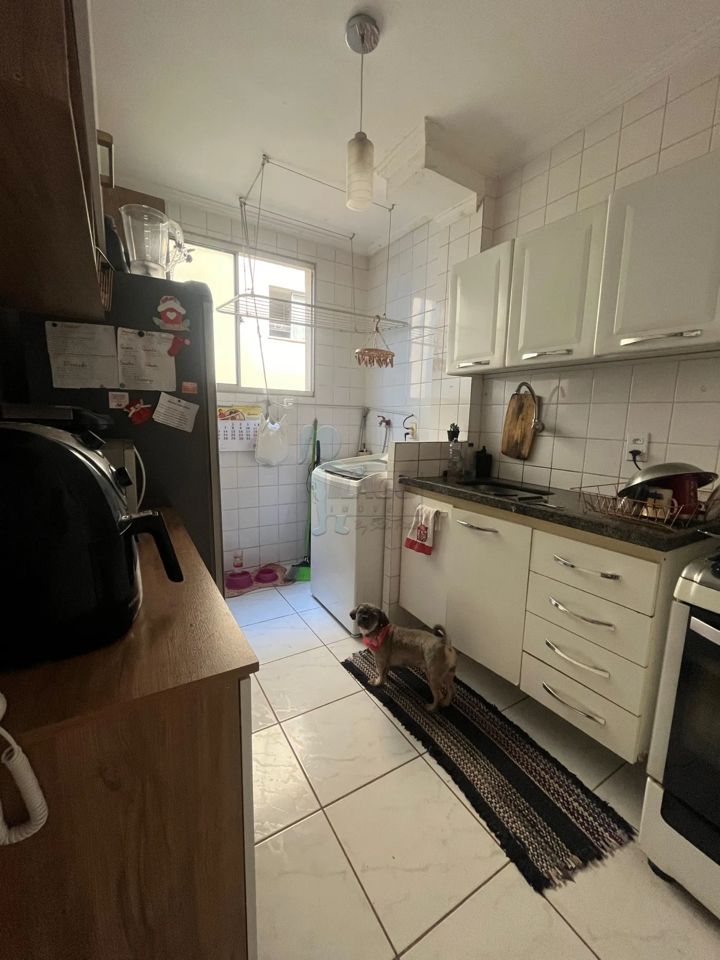 Alugar Casa / Padrão em Ribeirão Preto R$ 800,00 - Foto 14