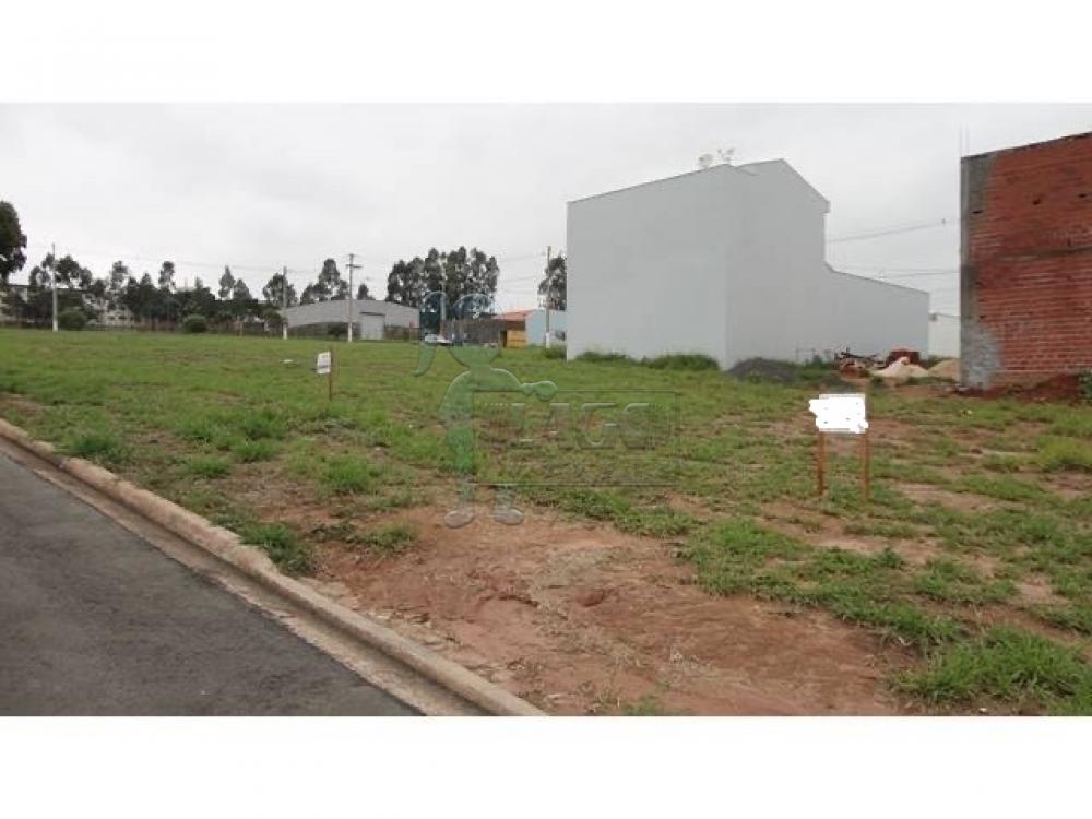 Comprar Terreno / Padrão em Pitangueiras R$ 45.000,00 - Foto 1