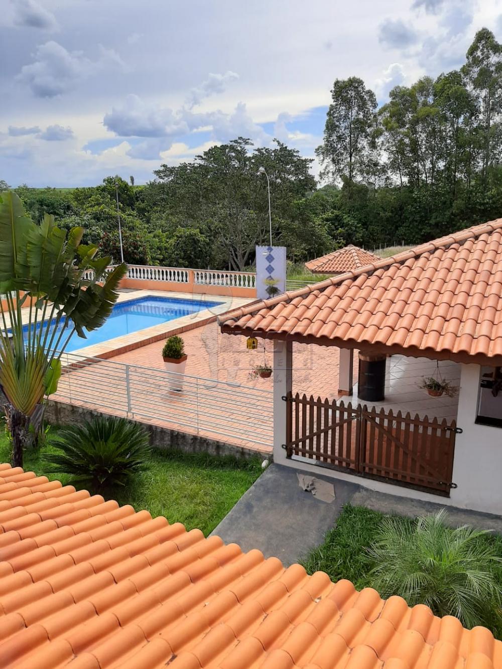 Comprar Rural / Fazenda em Tambaú R$ 1.380.000,00 - Foto 11