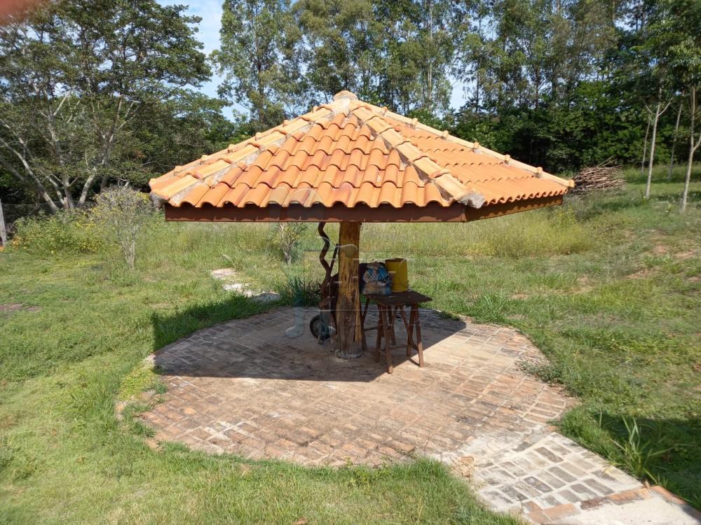 Comprar Rural / Fazenda em Tambaú R$ 1.380.000,00 - Foto 14