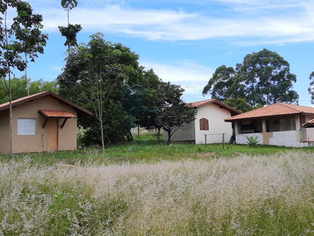 Comprar Rural / Fazenda em Tambaú R$ 1.380.000,00 - Foto 20