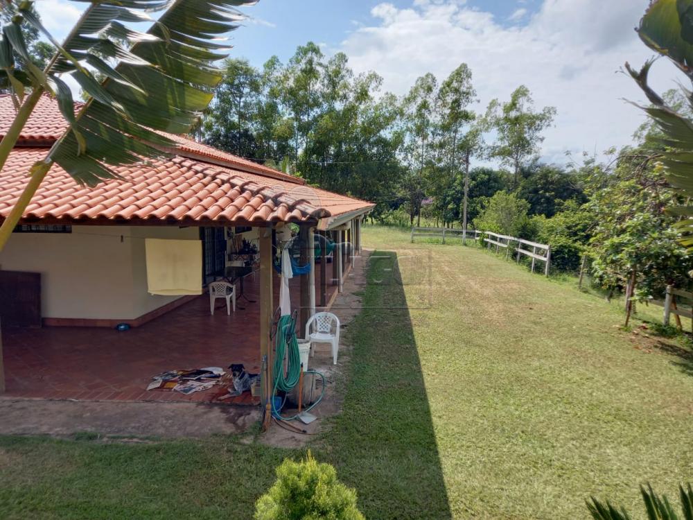 Comprar Rural / Fazenda em Tambaú R$ 1.380.000,00 - Foto 5