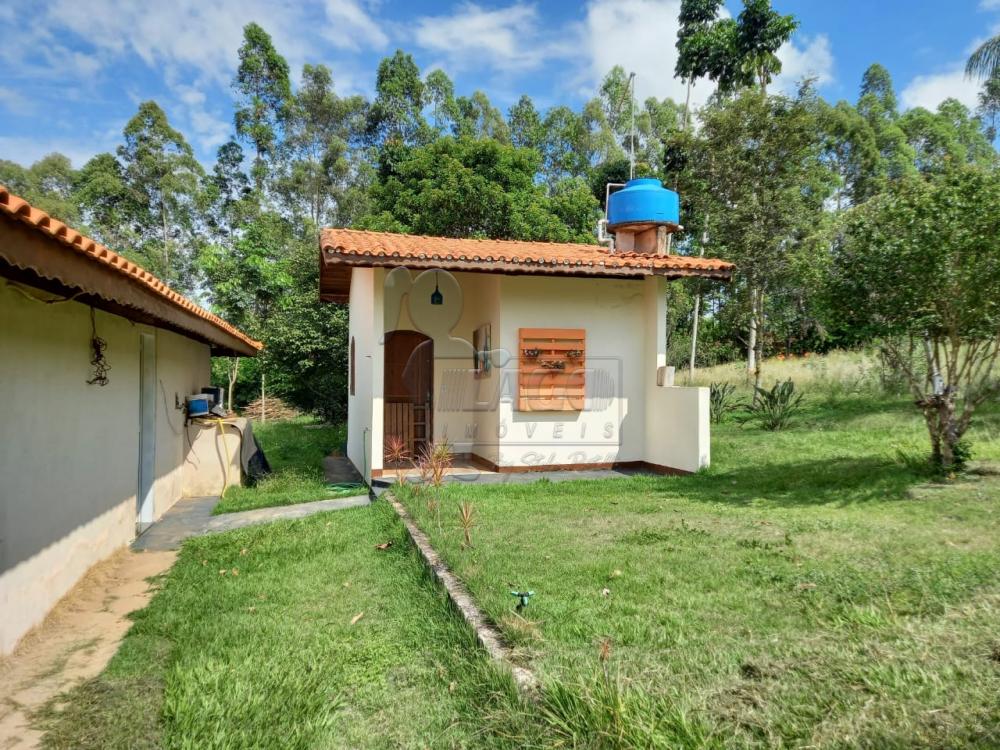 Comprar Rural / Fazenda em Tambaú R$ 1.380.000,00 - Foto 15