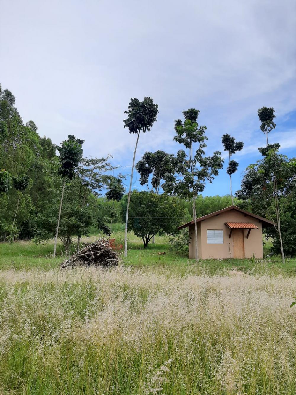 Comprar Rural / Fazenda em Tambaú R$ 1.380.000,00 - Foto 19