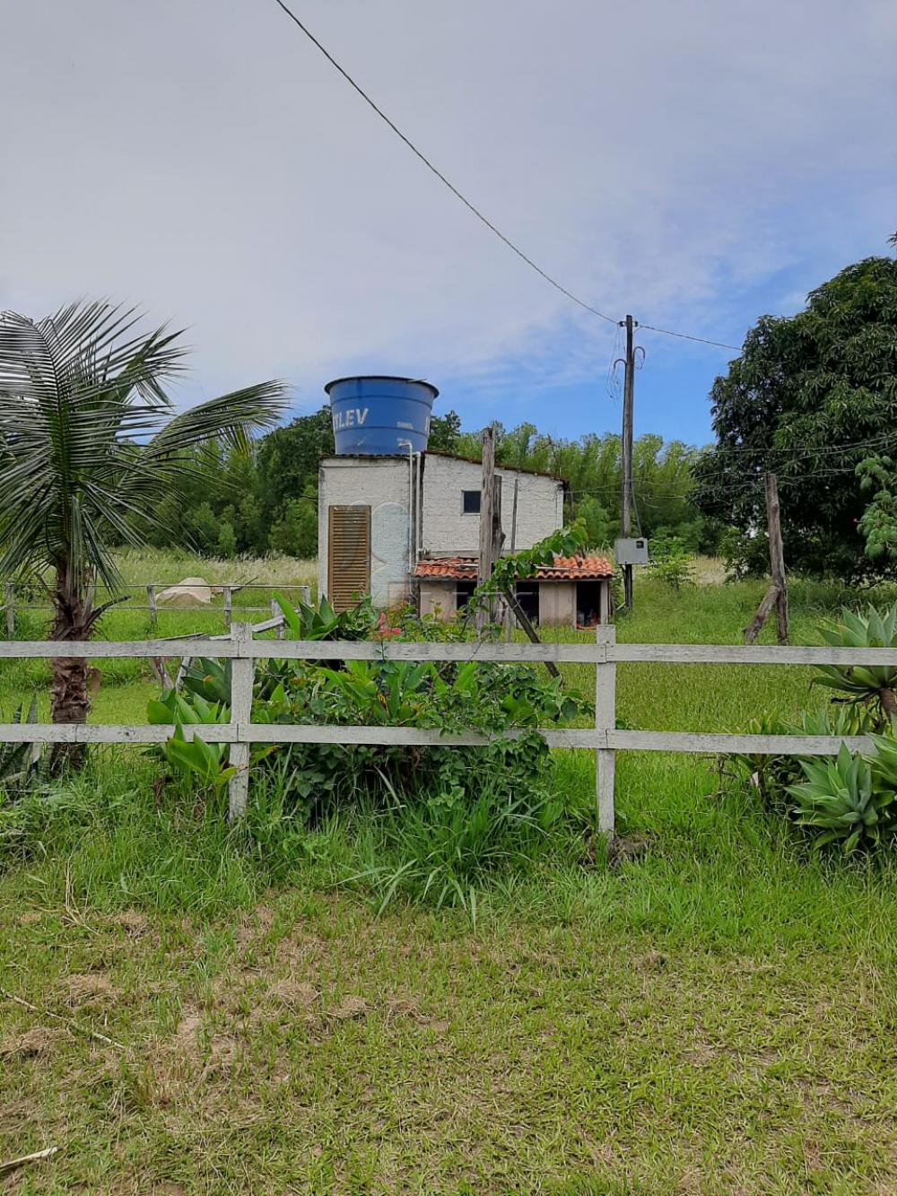 Comprar Rural / Fazenda em Tambaú R$ 1.380.000,00 - Foto 17