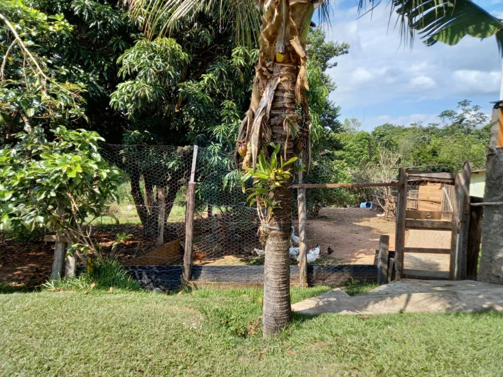 Comprar Rural / Fazenda em Tambaú R$ 1.380.000,00 - Foto 23