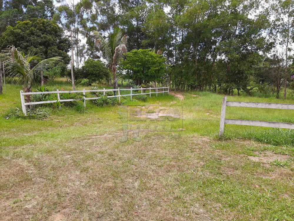 Comprar Rural / Fazenda em Tambaú R$ 1.380.000,00 - Foto 2